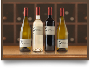 Wine bottles from Vineyard
