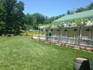 Veritas Vineyard provided the perfect backdrop for the bride and groom's wedding AND rehearsal