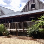 Wild Wolf Brewery