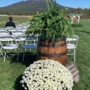 New Wedding Venues
