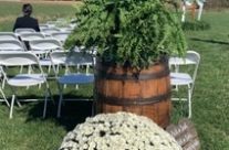 New Wedding Venues